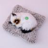 Simulated Kitten Meow Bamboo Charcoal Deodorizing Plush Cushion for Car & Home Decoration