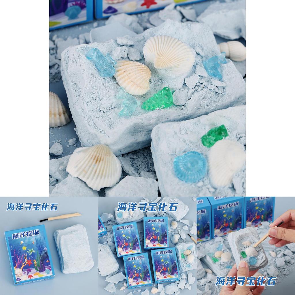 Ocean Treasure Fossil Discovery Kit With Diy Shells For Children Educational Gift