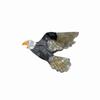 Penguin Acetic Acid Hair Claw Swallow Cartoon Animal Shark Clip Fashion Bird Hair Clip  Girls