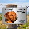 Rhodesian Ridgeback Dog Alarm Sign  Humorous German Text Metal Plaque Iron Outdoor Wall Art No Electricity Needed