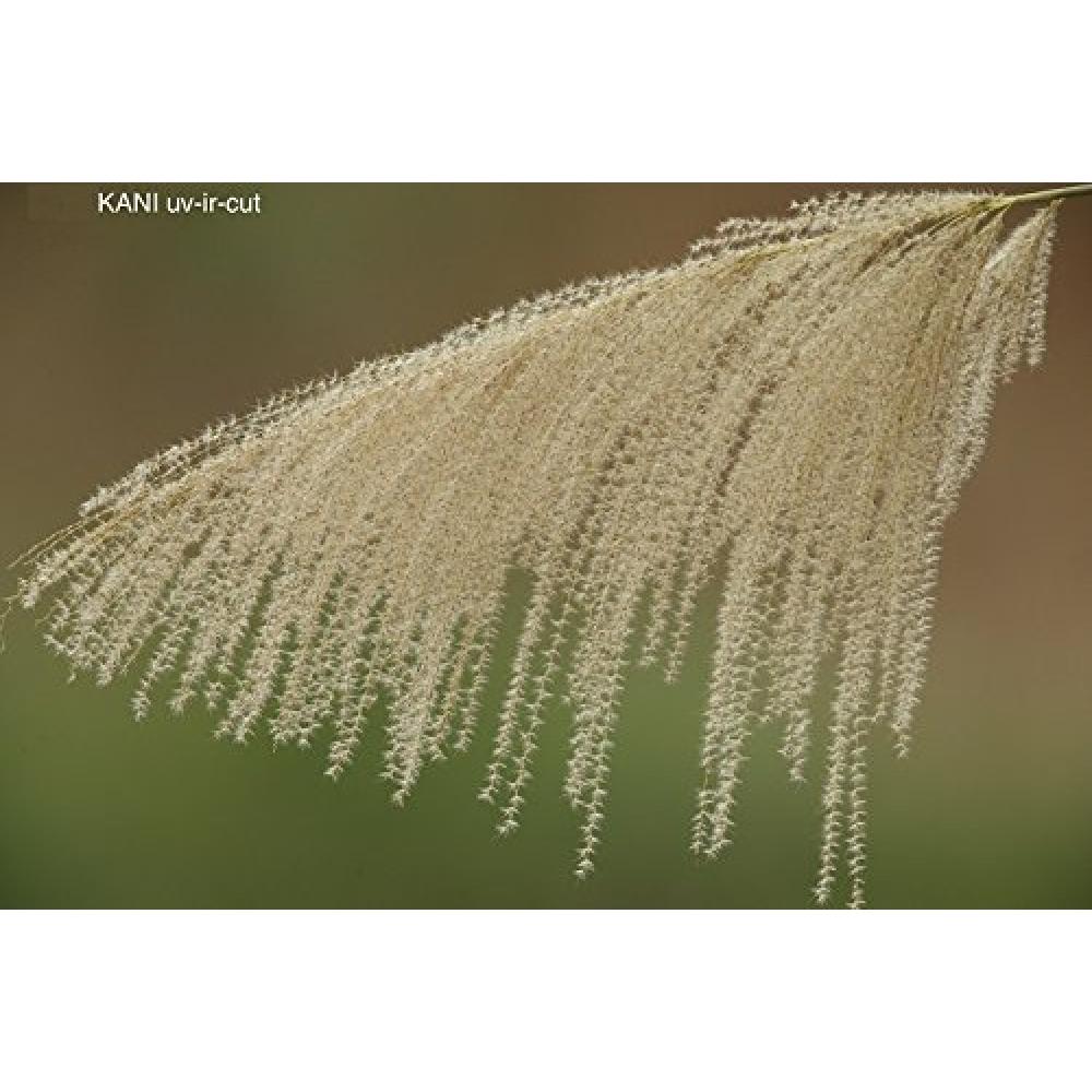 KANI UV-Filter UV IR CUT (77 mm)