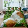 Copripiumino porcellino d'India king/queen size per bambini adolescenti ragazzi ragazze, simpatico cartone animato criceto roditore set biancheria da letto per camera da letto dormitorio