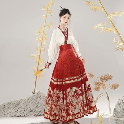 Styl dynastii Ming w Chinach spódnica z twarzą konia garnitur damski garnitur do codziennego dojazdu