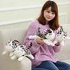 20-30cm Cute Cat Plush Toys Chi Chi's Cat Stuffed Doll Soft Animal Dolls Cheese Cat Stuffed Toys Dolls Pillow For Kids Girl Gift