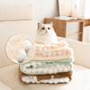 Autumn and Winter Cat Bubble Velvet Thickened Blanket Dog Warm Mat Pet Sleeping Blanket Dog Mat Pet Nest