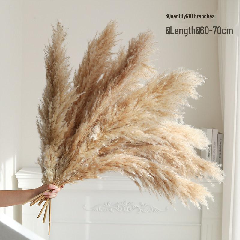 Natural Air-Dried Reed and Cattail Flower Bouquet for Floor Vase Decoration