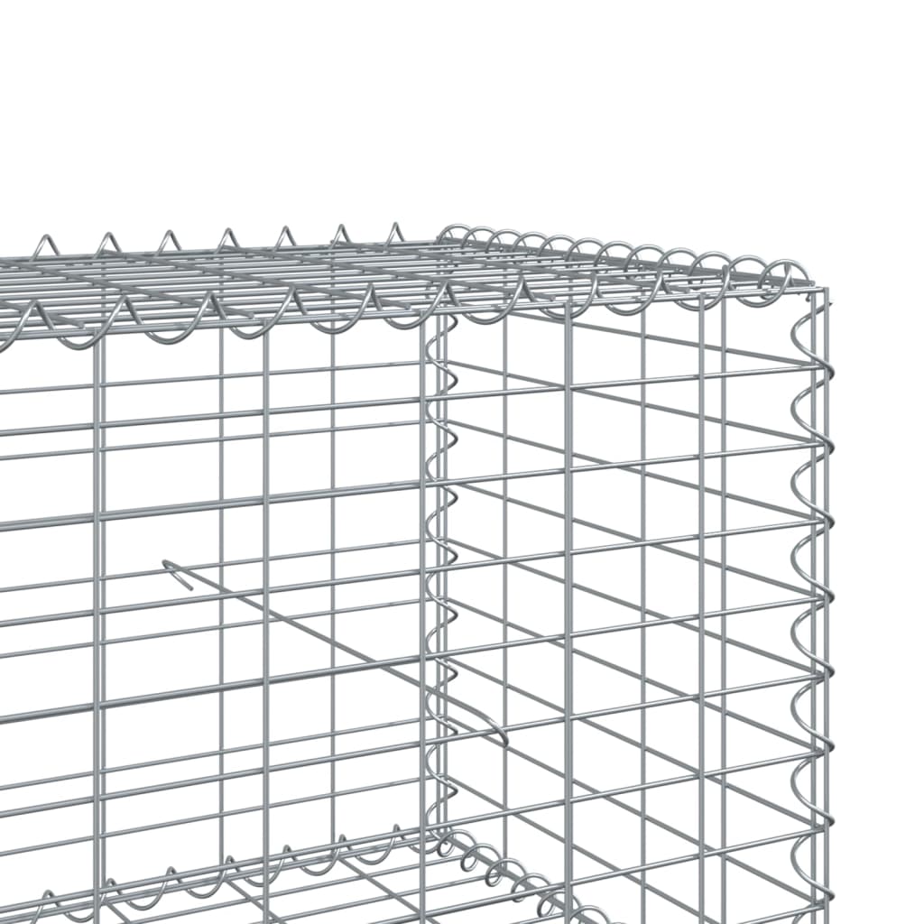 Vidaxl Gabion Basket with Lid, 1000X100X50 Cm, Galvanized Iron