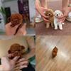 Mini Robot Puppy, My Realistic Robot Puppy, Interactive Plush Pet Kids Toys Cute Soft Robot Dog Can Walk And Bark