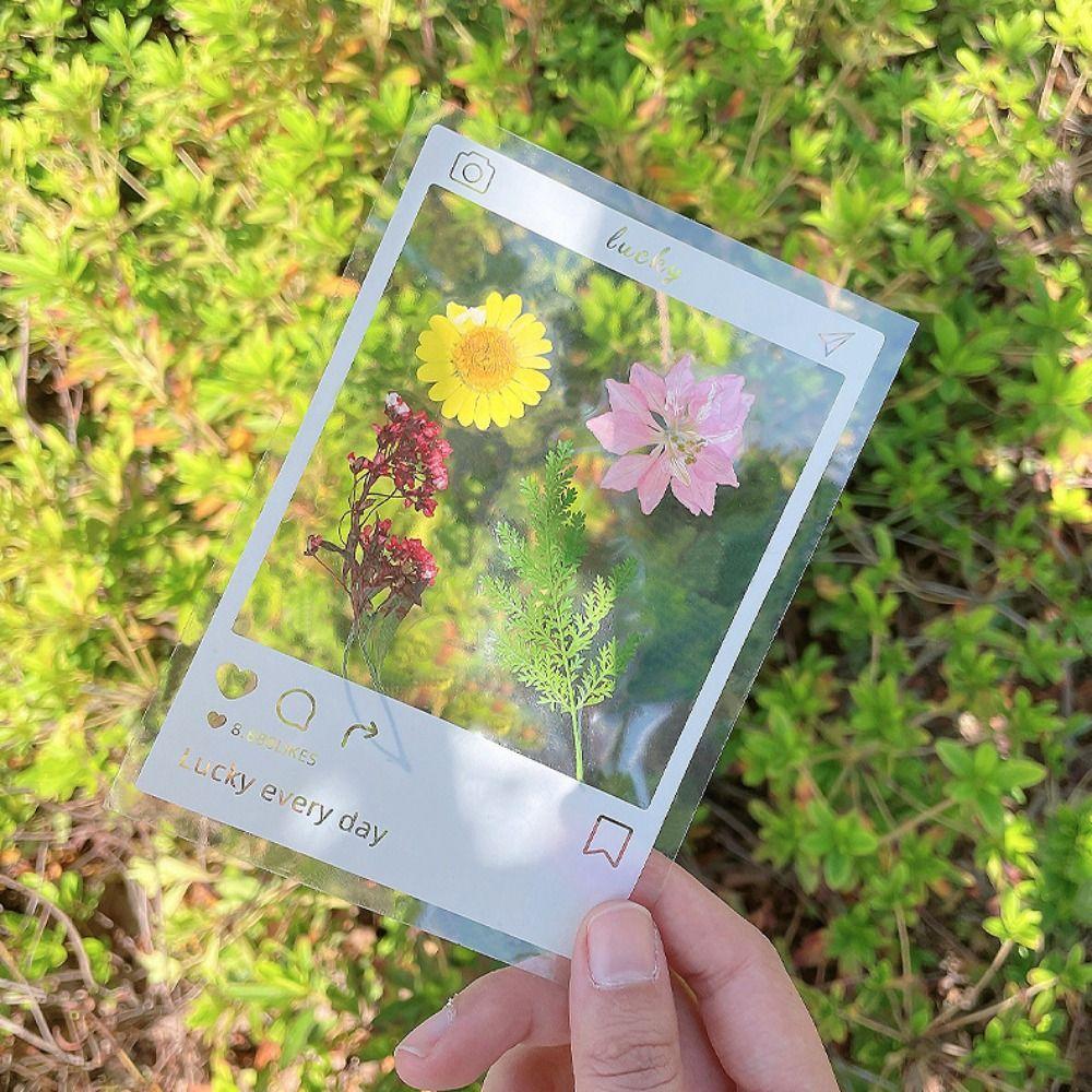 Fleurs séchées Pressées DIY Marque-pages en fleurs séchées Matériaux DIY Marque-page de page Fleur Enfants