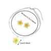 Women's Fashion Simple Resin Frangipani Flower Necklace & Earrings Set Gradient Color Plumeria Choker Chain Beach Jewelry Gift