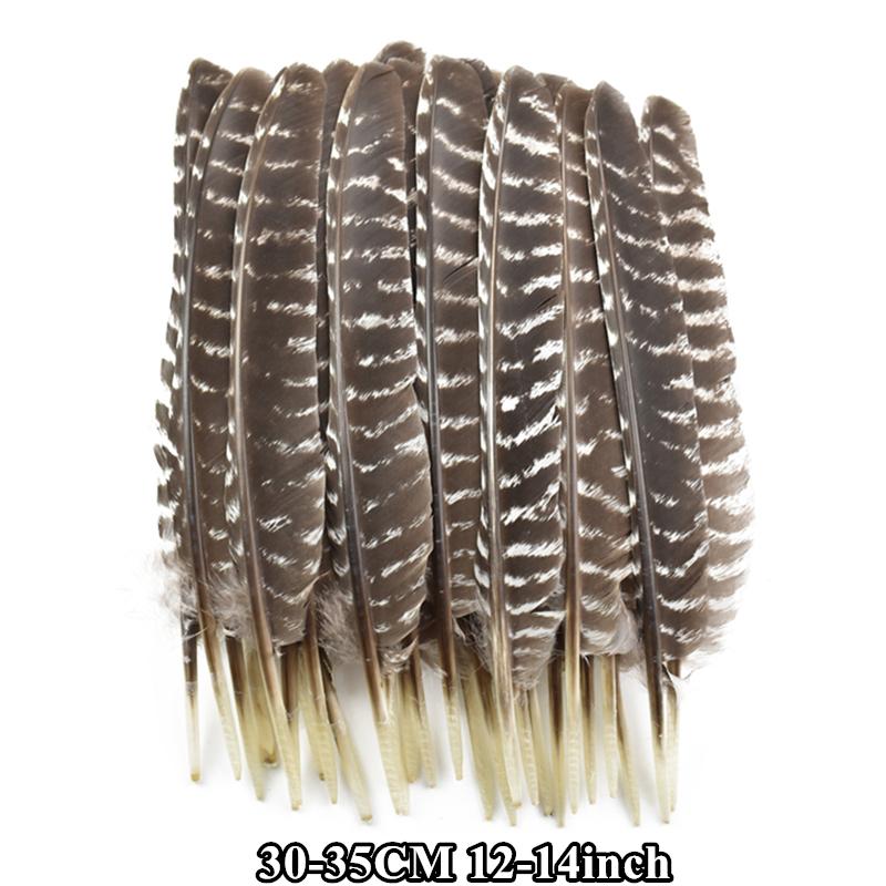 10Pcs/Lot Real Natural Turkey Feather Eagle Bird Feathers For Crafts Birds Plumes Decor Carnaval Accessories Manmade Decorations
