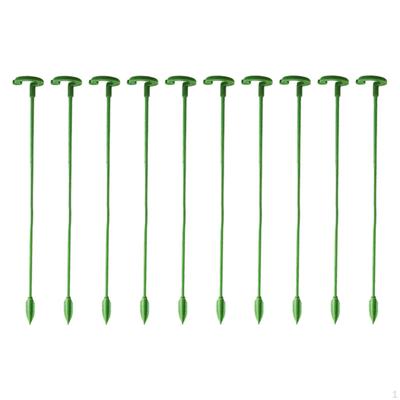 Înverzire şi amenajare – Susținere plante
