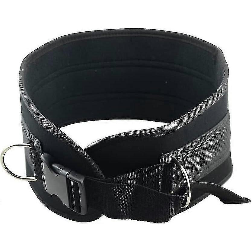 Pull-up Belt Weighted Flexion and Extension Belt Chain Double D-ring Weightlifting Back Support Belt