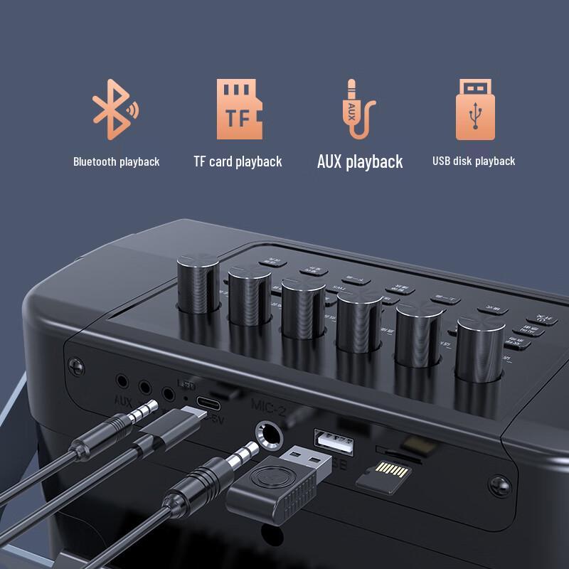 SANSUI Portable Outdoor Karaoke Bluetooth Speaker