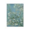 Berømt Van Gogh-kunstner Stjernehimmel Oljemaleri Solsikkeutstilling Plakat Blomst Naturlig veggkunst Lerretsmaleri Hjemmeinnredning Ingen ramme