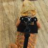 Adjustable Rat Harness and Leash Set 3 Sizes Vests Anti-Bite Chest Strap Lizard Traction Rope Comfortable Leather