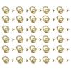 30 Piece Screw-Back Bag Hardware Fitting D Shape Metal Set for Purse Handle Mounting, Repair Work and DIY Bag Making Projects