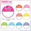 315Pcs Hello My Name is Name Tag Macaron Round Nameplate Sticker 9 Colors Classroom Bulletin Board Decor Colorful Label Sticker for Back to School