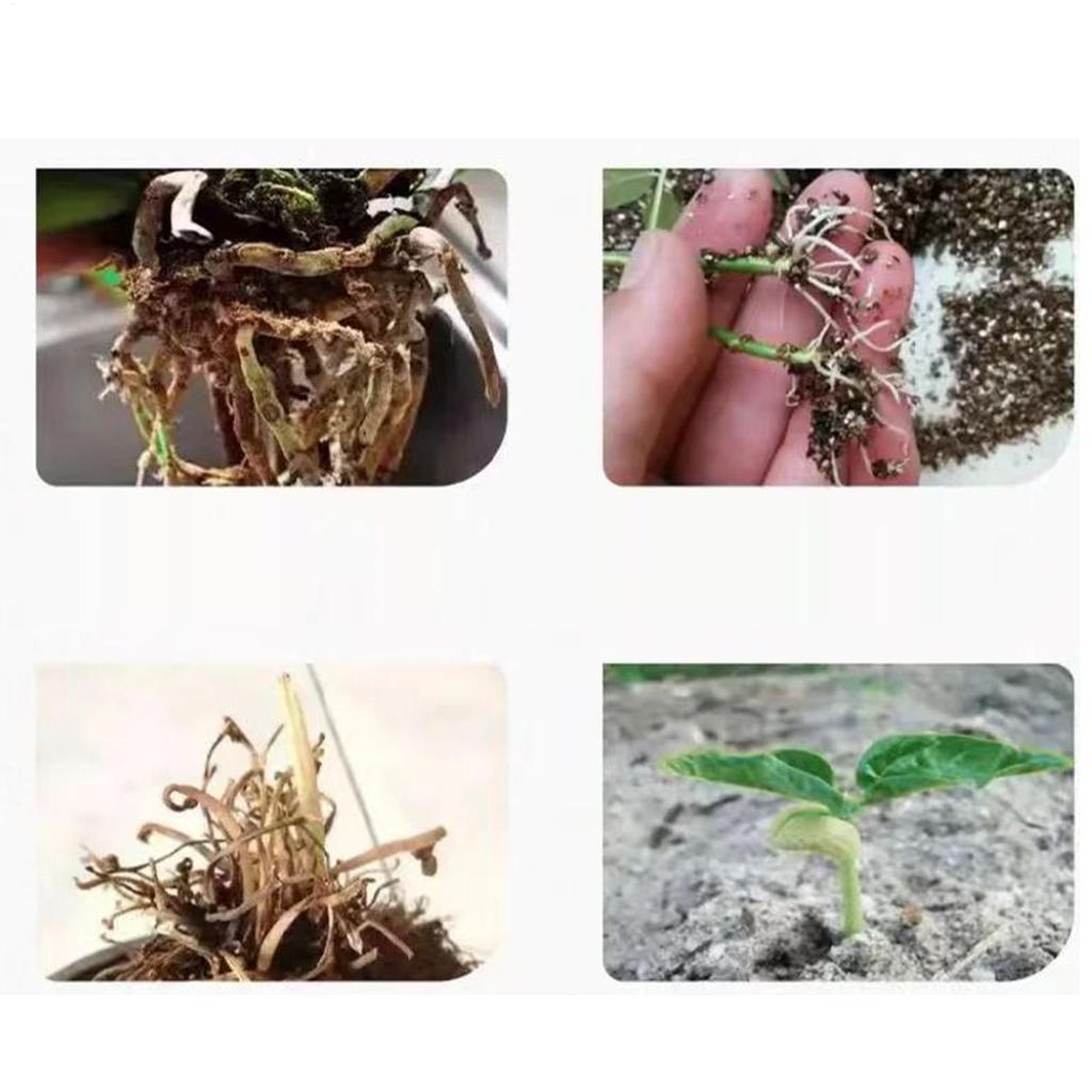 Root Stimulator For Cuttings 50ml Transplanting Nutrient Solution Plant Rapid Rooting Liquid For Garden Outdoor Greenhouse