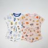 Japanese Style Cartoon Sibling Summer Set: Short-Sleeved T-Shirt & Shorts for Kids