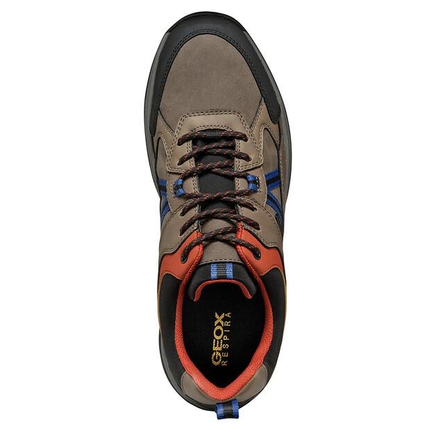 Geox Terrestre Abx Sneakers