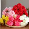 1pc Artificial Carnation Flowers, Fake Flower Bouquet Bridal BouquetswWedding Centerpieces Decor, Outdoors Home Garden Party Dec