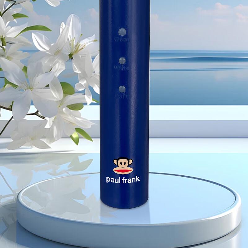 Paul Frank DZH-G14 Sonic Electric Toothbrush