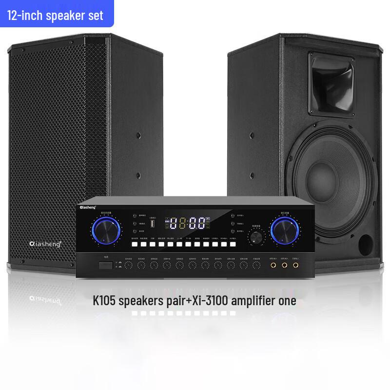 QIASHENG Conference Audio System Set