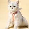 1 Ensemble Laisse pour Chat Réglable Confortable Dessin Animé Aile d'Ange Chaton Chat Harnais de Poitrine pour l'Extérieur