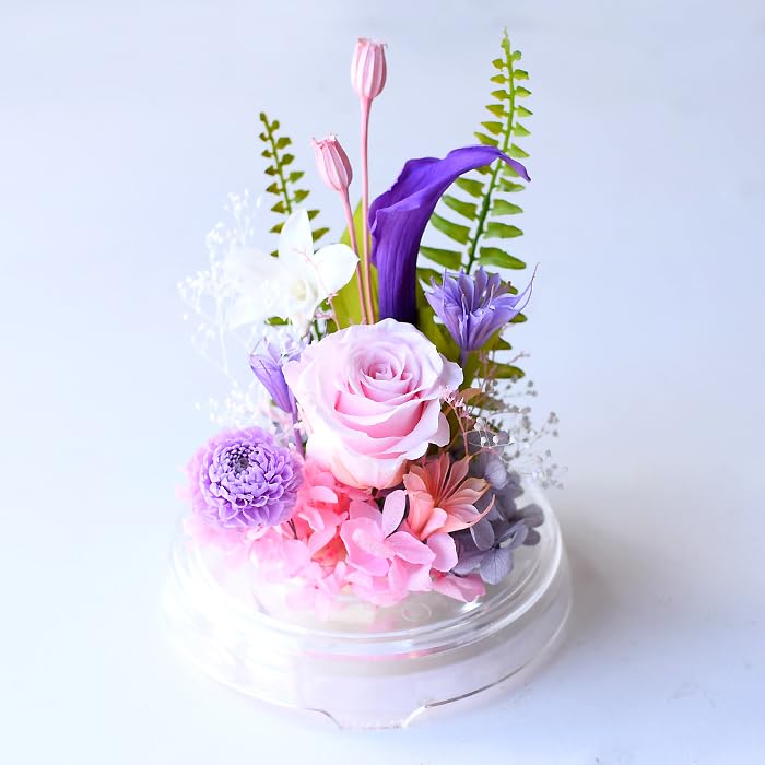 Preserved Flower Dome, Flower Dome, Buddhist Flowers, Offering Flowers, Violets, 1 Piece, Pink