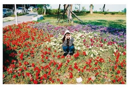 

CD GINNAN BOYZ Hikarinonakanitatteitene tsuujou s SKOOL021 2014 Japan Japanese PopRock Used