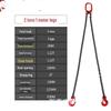 Four-Limb Lifting Chain Sling Set with Two Hooks and Lifting Eyes - Available in Single, Double, and Four Leg Options