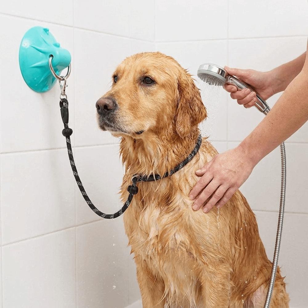 Anti Movement Pet Bath Holder Adjustable Dog Bathing Fixer Pet Shower Fixed Collar for Cats Dogs
