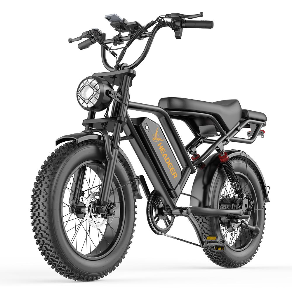 Aairsk 20x4  Elektrofahrrad mit dicken Reifen für Erwachsene, 250W Motor, 48V 20AH abnehmbarer Akku, 25km/h, E-Mountainbike mit DoppelFederung NFC schwarz