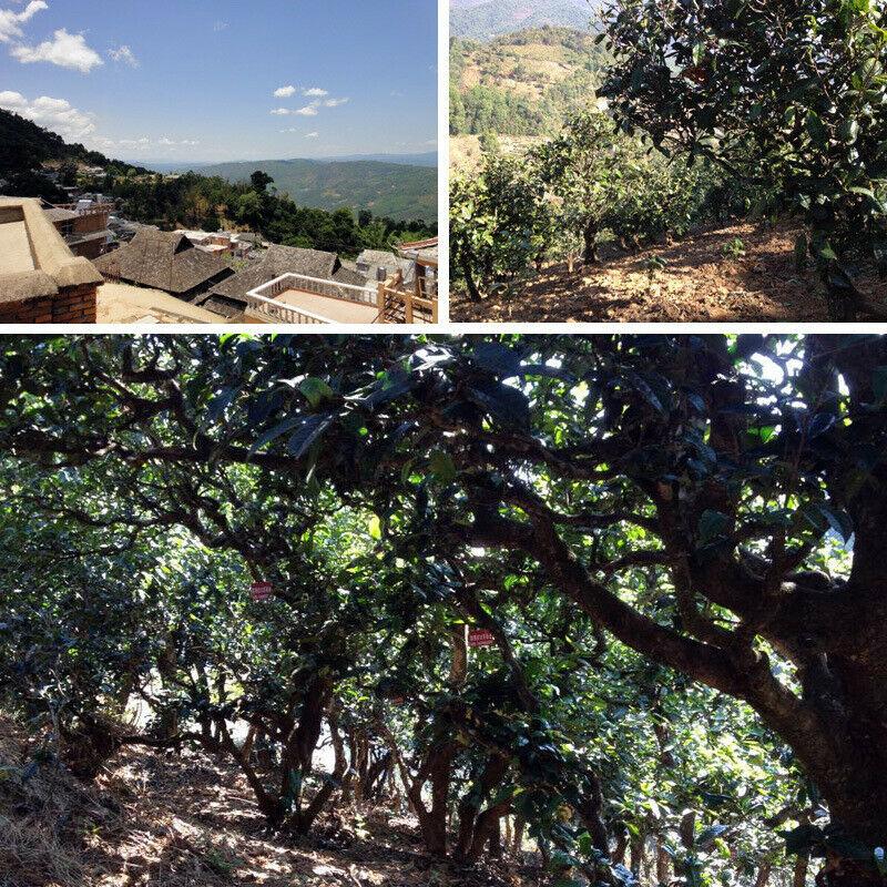 200 g Moonlight White Pu-Erh-Teekuchen Yunnan gealterter Pu'er-Grüntee mit gesundem Nutzen