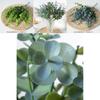Eucalyptus Robusta Smith Greenery Artificial Plant For Home Decor And Photography Props