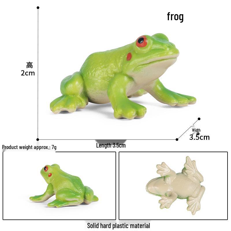 Heart-Shaped Reptile Model: Red-Eyed Tree Frog & Bullfrog Children s Desk Ornament
