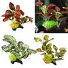 Artificial Aquarium Fish Tank Simulation Grass Decoration Underwater Aquarium Backgrounds Plants Water Grass Accessories Home