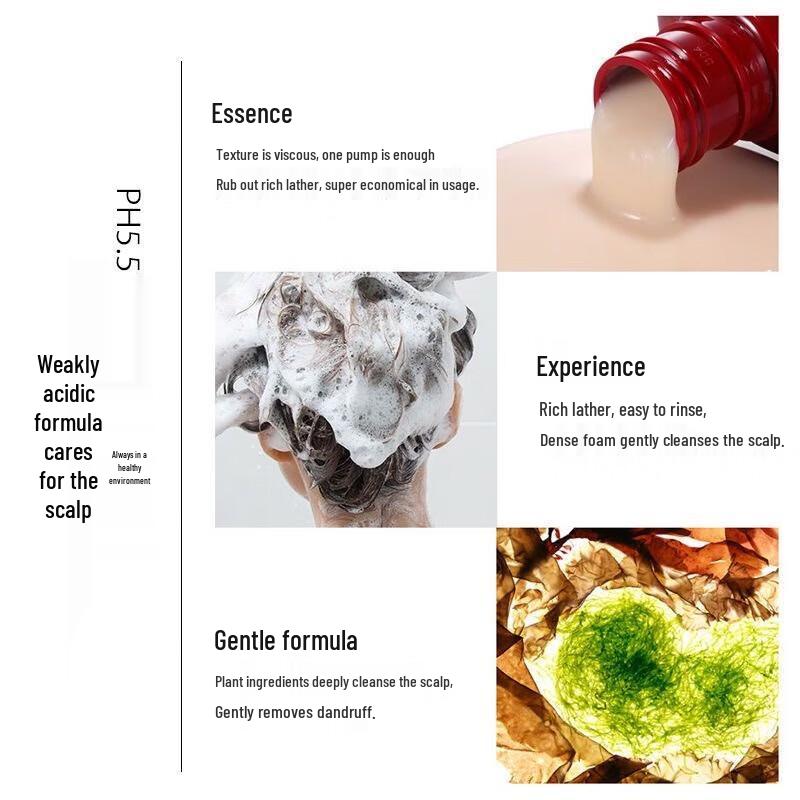 B2v Red Algae Silicone-Free Shampoo