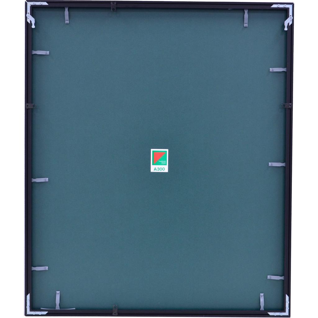 FUJICOLOR Picture Frame A300 Full Size Aluminum Black 39682
