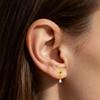 Gaibei European-American G23 Titanium Star Pendant 3D Stud Earrings for Ear Cartilage