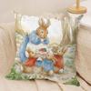 PPeter rrabbit Anime Cushion Cover Silky Short Plush Invisible Zipper Dustproof Sofa Pillow Case for Home Decor
