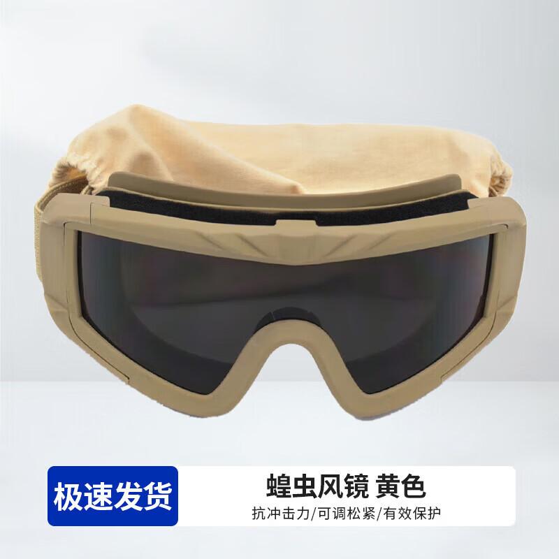 ZLIII Locust Goggles