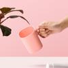 Chahua Household Mouthwash Cups (2-Pack)