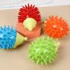 Squeaky Dog Chewing Ball, Bite Resistant, Interactive Toy for Teeth Cleaning and Boredom Relief, for Dogs and Cats, Pet Supplies