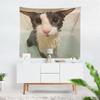 Aertemisi Soggy Cat Tapestry Wall Hanging Art for Bedroom Living Room College Dorm Party Backdrop Home Decoration