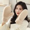 Winter New Thickened Plush Warm Gloves Fashionable Simple Solid Color Thermal Cold Weather Handwear