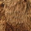 Braunbär Nr. 5731