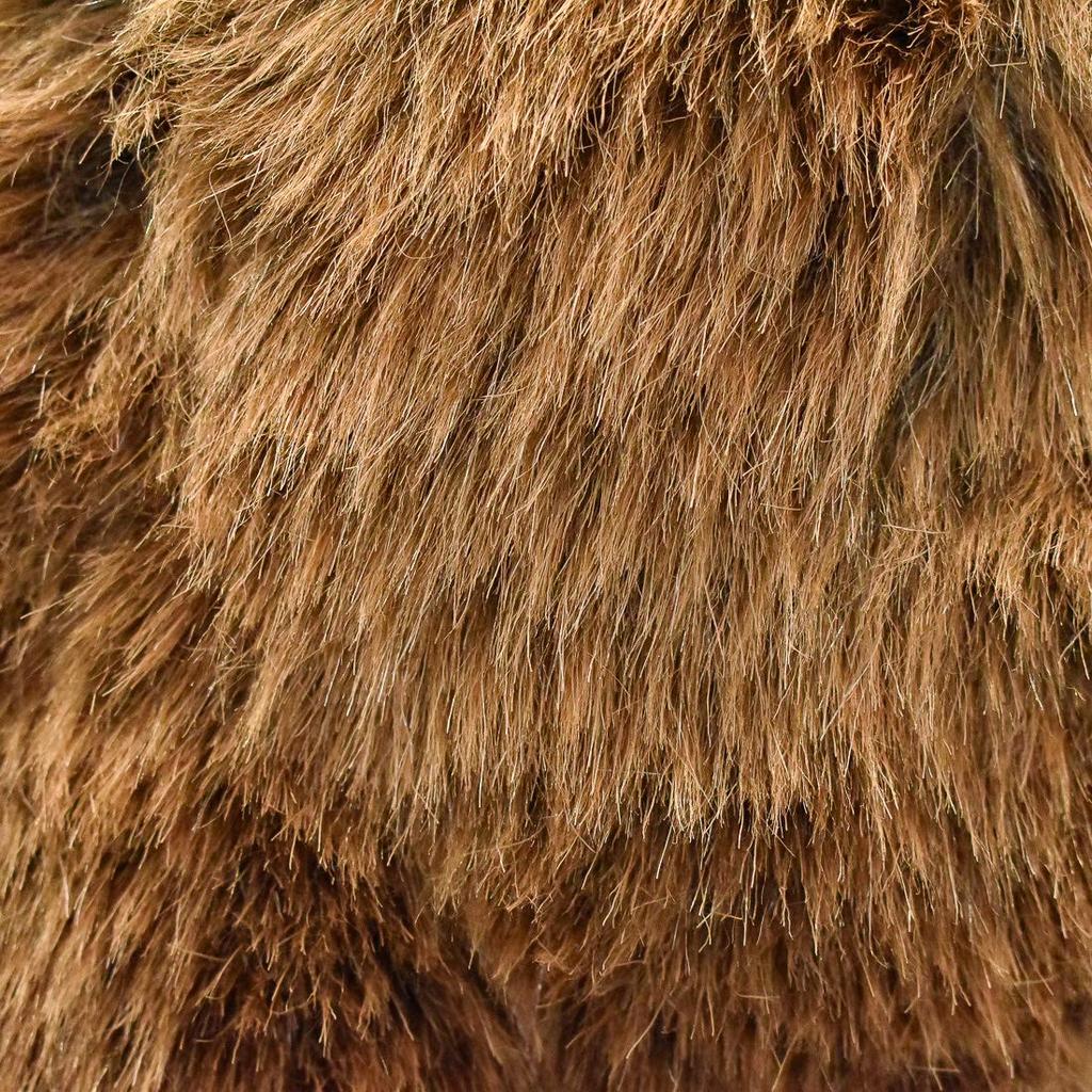 Braunbär Nr. 5731