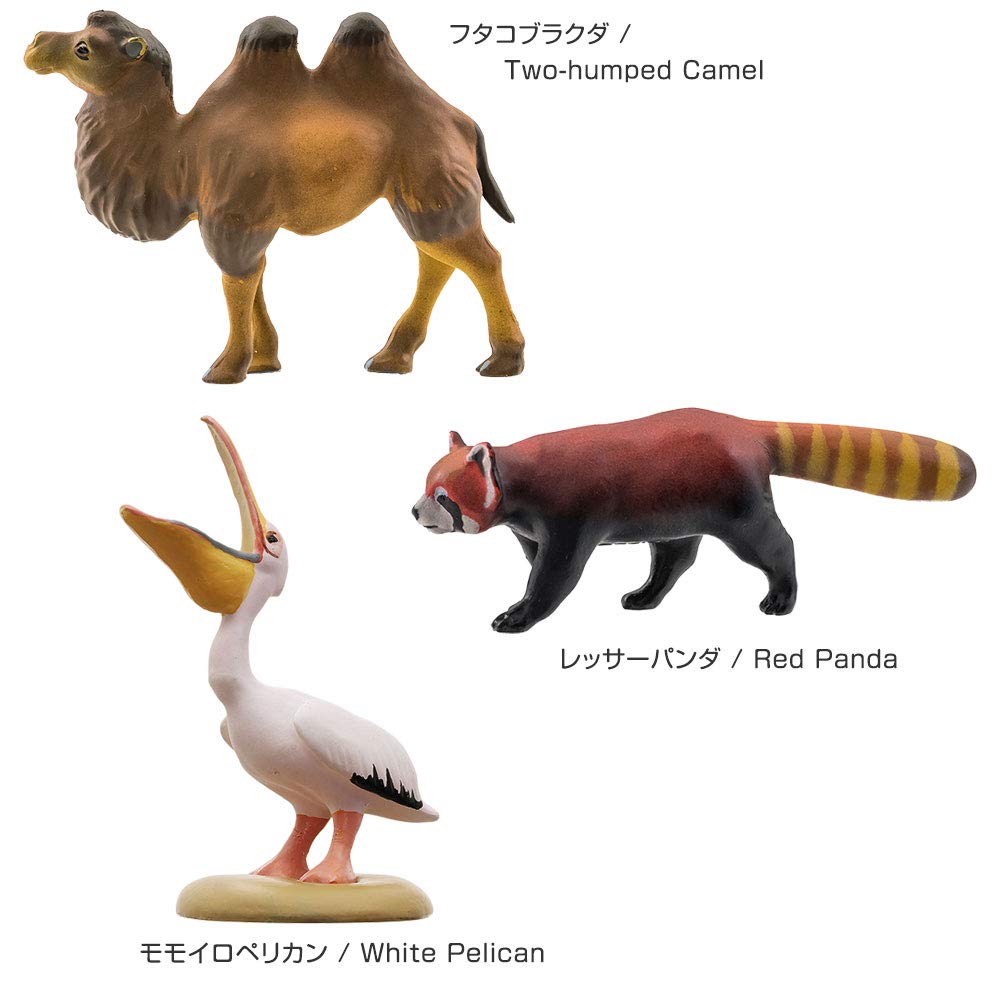 Calorata Animal Geography Zone 3 Figure 3D Encyclopedia of the Old North and New North Zones 12 Species Includes Realistic Figure Box Toy Educational